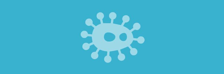 Virusi in škodljivi programi